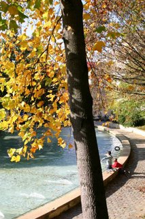 Paris, Jardin de Belleville, Bassin (c) Yves TRAYNARD 2005