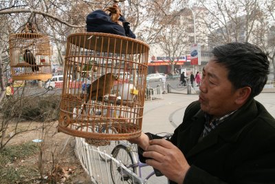 Baoding, (c) Yves Traynard 2009 