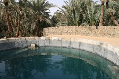 Siwa, Source de la fiancee (c) Yves Traynard 2008