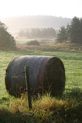 Montregard, Brume matinale (c) Yves Traynard 2007