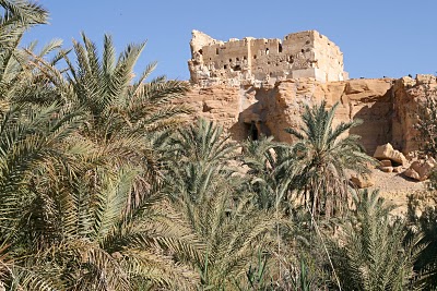 Siwa, temple d'Amon (c) Yves Traynard 2008 