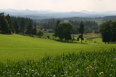 Montregard, Panorama sur les pains de sucre (c) Yves Traynard 2007