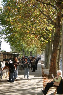 Paris, Quai de Montebello, Bouquiniste (c) Yves TRAYNARD 2005