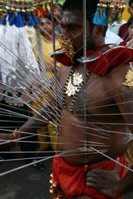 Malacca, Fête de Thaipusam, Kavadi (c) Yves Traynard 2007