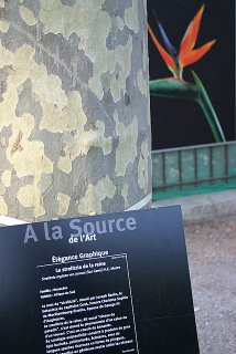 Paris, Jardin des plantes, expo A la source de l'art (c) Yves TRAYNARD 2005