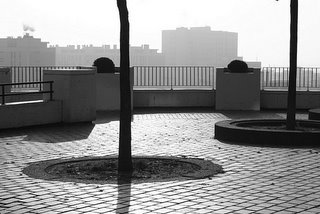 Paris, Rue Piat, Jardin de Belleville (c) Yves Traynard 2005