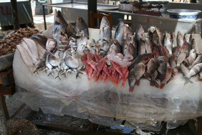 Alexandrie, Marché aux poissons de Ras et-Tin (c) Yves Traynard 2008