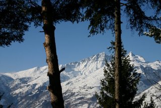 Séez, l'adret au-dessus de Bourg Saint Maurice (c) Yves Traynard 2005