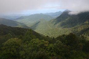 Cameron Highlands, Vue aérienne (c) Yves Traynard 2007