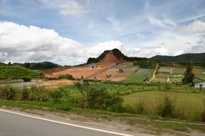 Cameron Highlands, Déforestation dans la Blue Valley (c) Yves Traynard 2007