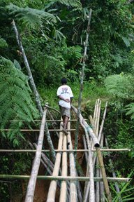 Cameron Highlands, Pont de bambous (c) Yves Traynard 2007