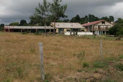 Montregard, une ferme bio (c) Yves Traynard 2009 