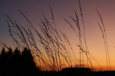 Montregard, Crépuscule (c) Yves Traynard 2009 