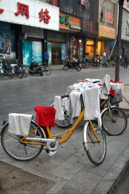 Baoding, Coiffeur (c) Yves Traynard 2009