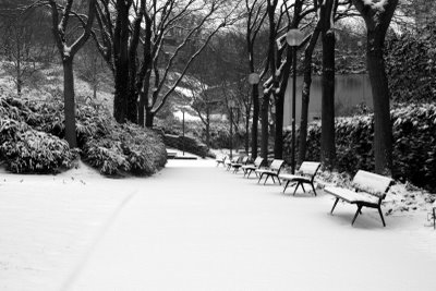 Paris, Parc de Belleville(c) Yves Traynard 2009