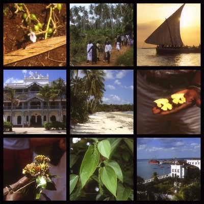 Zanzibar, Cardamome, gingembre, clou de girofle, poivre et vues de Stone town (c) Yves Traynard 2004