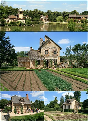 Versailles, Château (c) Yves Traynard 2010