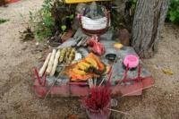 Thaipusam