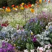 Le monde en un jardin