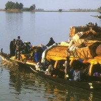 Basse-cour humanitaire