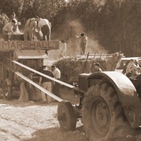 Fête au village