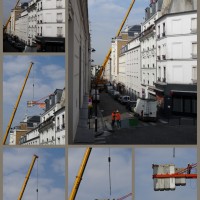 L'envol de la grue