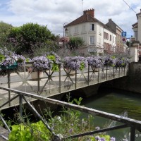 Crécy-la-Chapelle