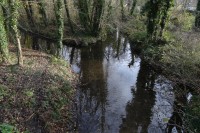 Marais de l'Essonne autour de Mennecy