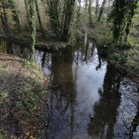 Marais de l'Essonne autour de Mennecy