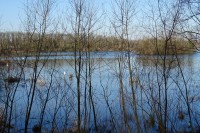 Le lac de Viry-Châtillon