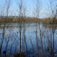 Le lac de Viry-Châtillon