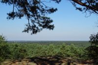 Forêt de Fontainebleau