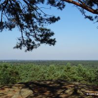 Forêt de Fontainebleau