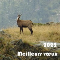 Meilleurs vœux 2022 !