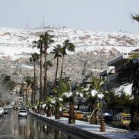 Damas sous la neige