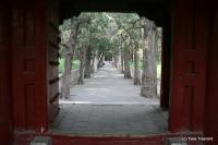 Qufu, l'album